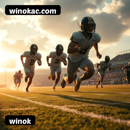 Recursos Exclusivos do App winok - Modo Offline, Login Biométrico